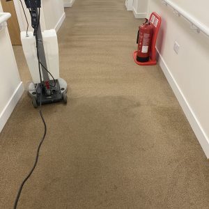 Carpet_cleaning